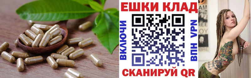 Ecstasy круглые  Волосово 